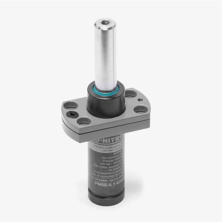 Flange PNB-91-019